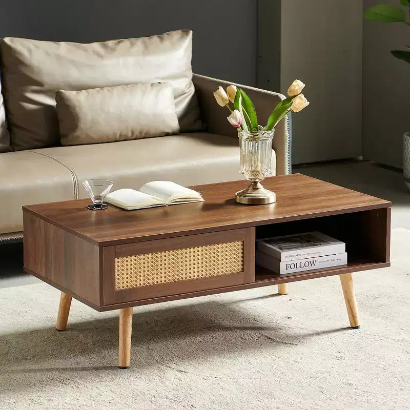 Table basse en rotin, porte coulissante pour rangement, pieds en bois massif, table moderne pour salon, couleur noyer
