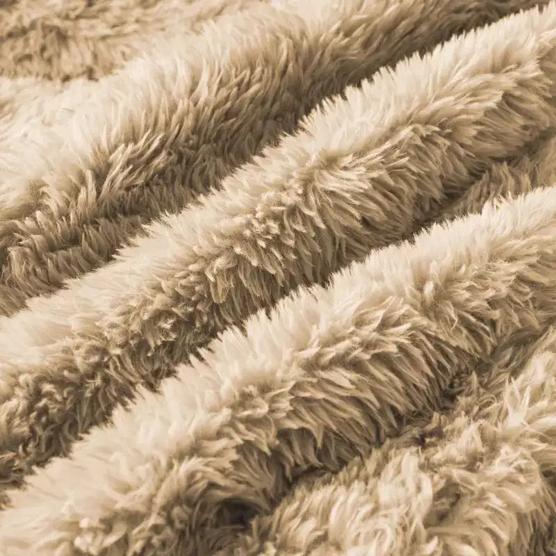 Canapé modulaire 2 places, Tissu peluche doux, Dessous antidérapant, Éponge HD 32D, Aucun assemblage, Conception ergonomique, Avec coussins de salon