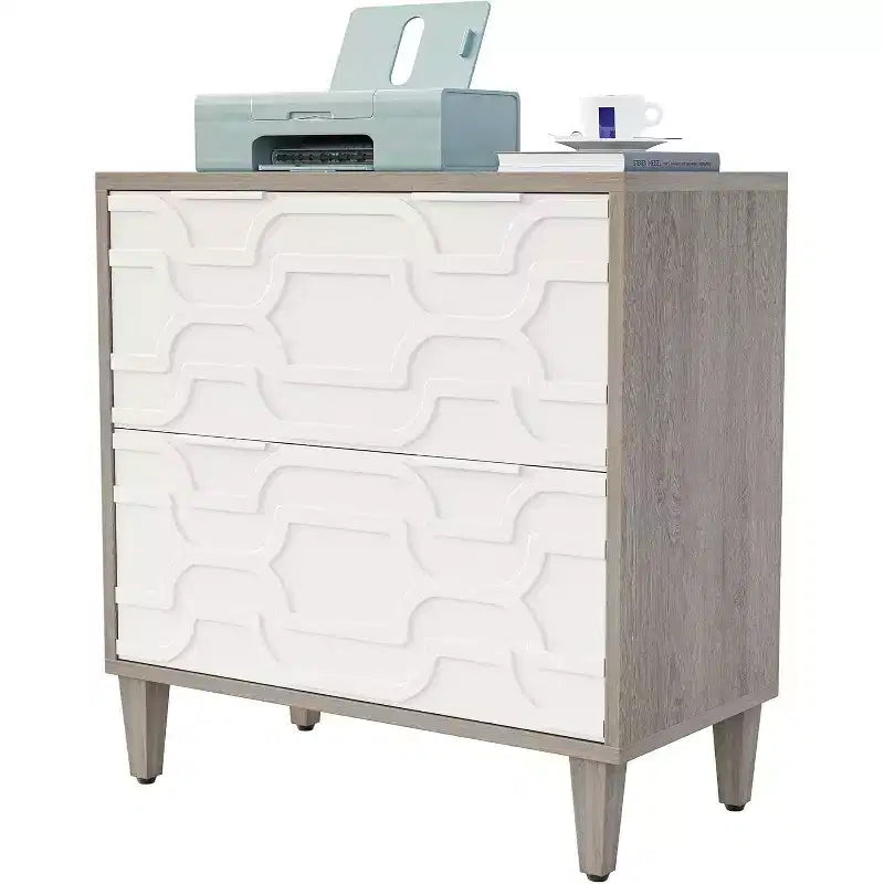 Tribesigns 2 Drawer Lateral File Cabinet, Office Filing Cabinet